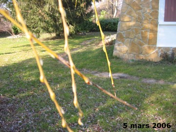  Ecoles du Monde - 